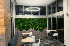 Wall-Tile-with-reall-Moss-and-carpeted-floors